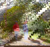 Arthurs Seat Circuit Walk - Accommodation Mount Tamborine