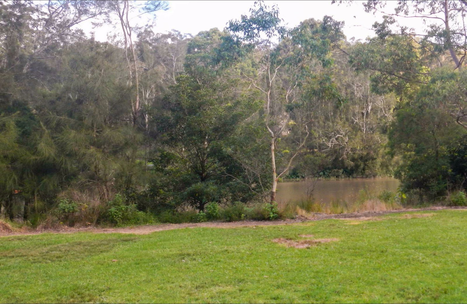 East Lindfield NSW Accommodation Mount Tamborine