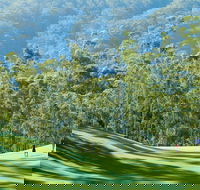 Bonville Golf Resort - Accommodation Mount Tamborine
