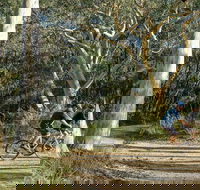 Bundanoon cycling route - Accommodation Mount Tamborine