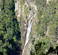 Carrai National Park - Accommodation Mount Tamborine