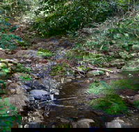 Cascades picnic area - Accommodation Mount Tamborine
