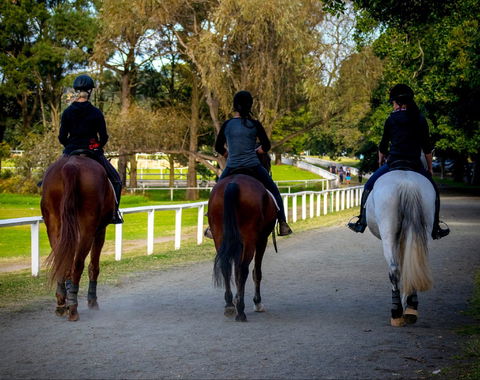 Centennial Stables - Accommodation Mount Tamborine 0