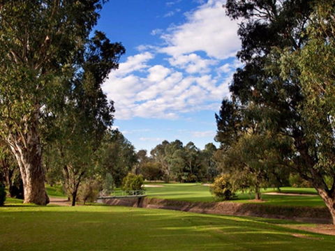Commercial Golf Course - Accommodation Mount Tamborine 0