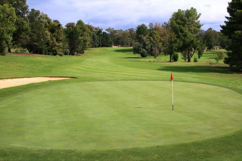 Commercial Golf Course - Accommodation Mount Tamborine 1