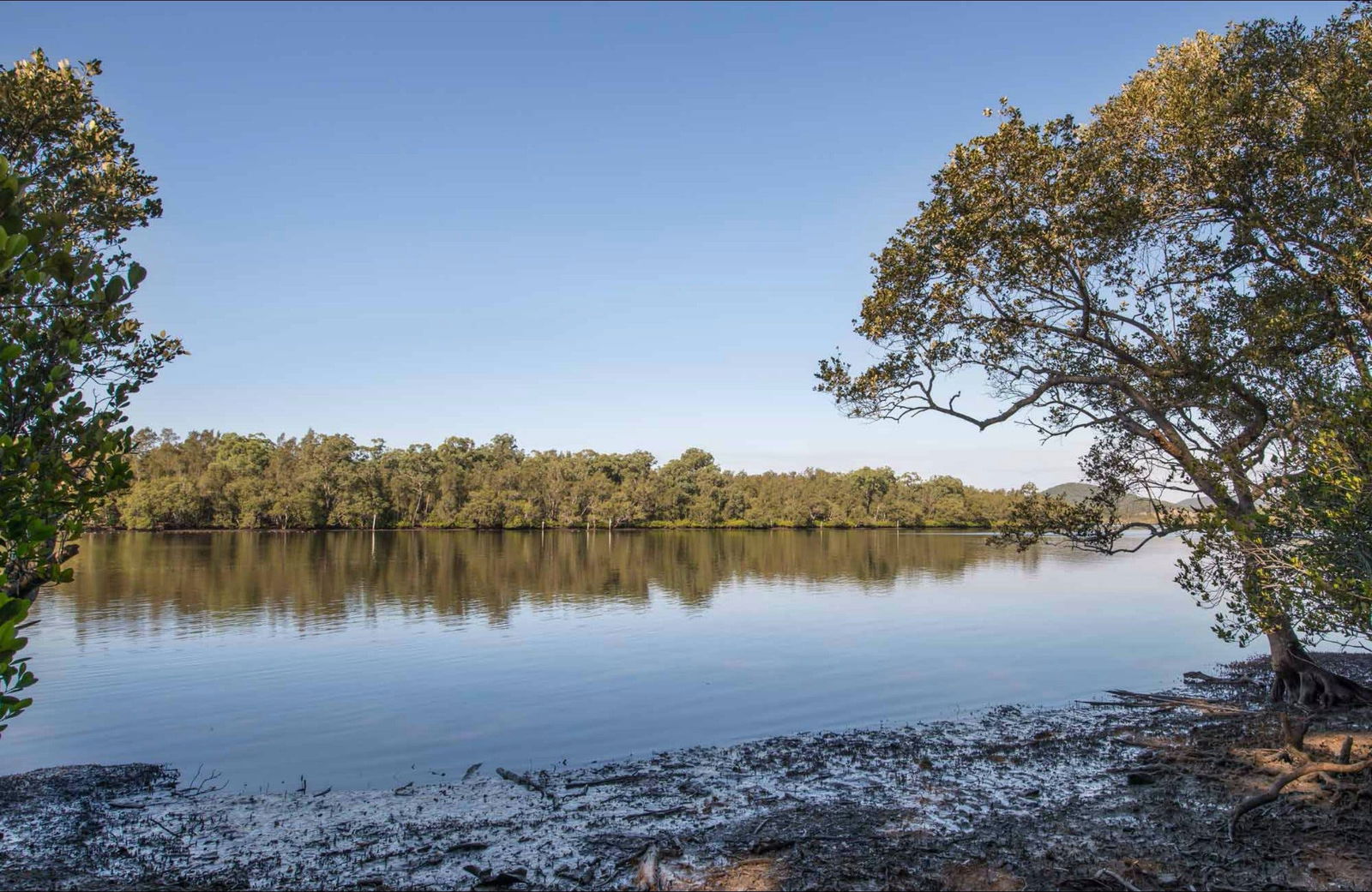 Limeburners Creek NSW Accommodation Mount Tamborine