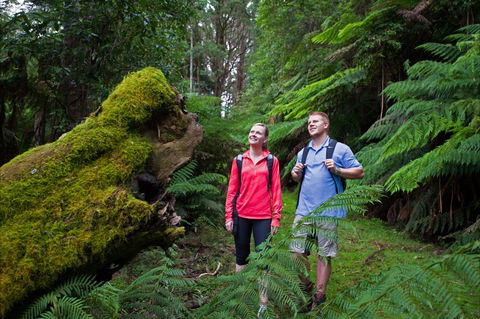 Grand Strzelecki Track - Accommodation Mount Tamborine 0