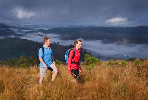 Grand Strzelecki Track - Accommodation Mount Tamborine 1