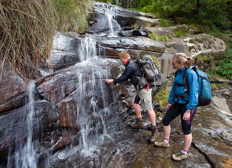 Grand Strzelecki Track - Accommodation Mount Tamborine 2