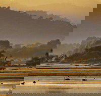 Greens Beach - Accommodation Mount Tamborine