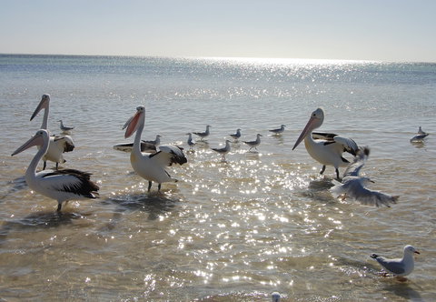 Hardwicke Bay - Accommodation Mount Tamborine 2