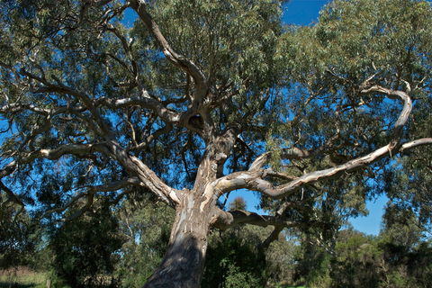 Holey Plains State Park - Accommodation Mount Tamborine 0