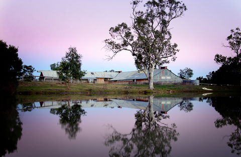 Jondaryan - Accommodation Mount Tamborine 0