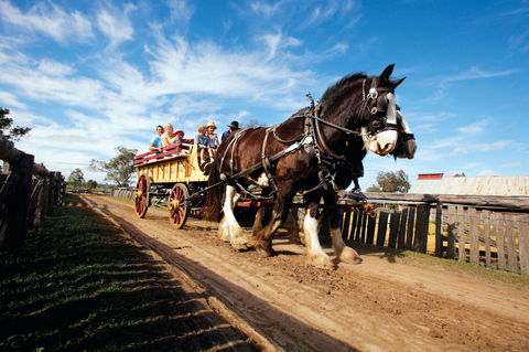 Jondaryan - Accommodation Mount Tamborine 2
