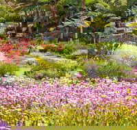 Jurassic Garden AR Experience - Accommodation Mount Tamborine