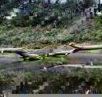 Kayaking Upper Tuross River and Bumbo Lake - Accommodation Mount Tamborine
