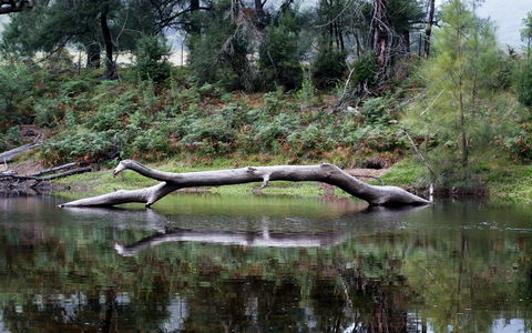 Kayaking Upper Tuross River And Bumbo Lake - Accommodation Mount Tamborine 0