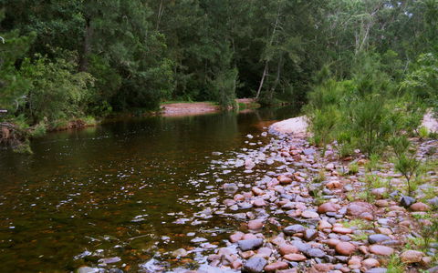 Kayaking Upper Tuross River And Bumbo Lake - Accommodation Mount Tamborine 1