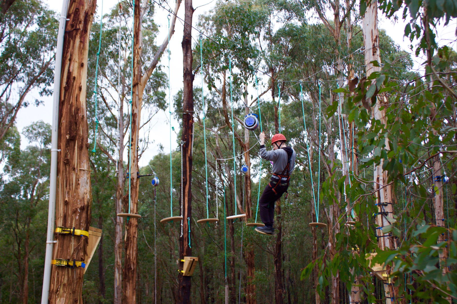 Kinglake West VIC Accommodation Mount Tamborine