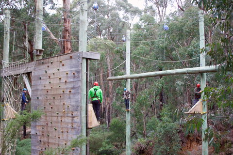 Kinglake Forest Adventures - Accommodation Mount Tamborine 1