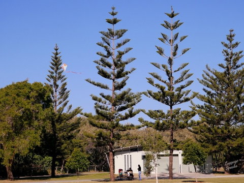 Kurrawa Park - Accommodation Mount Tamborine 0