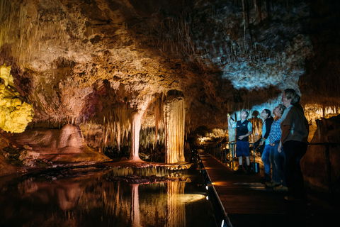 Lake Cave - Accommodation Mount Tamborine 0