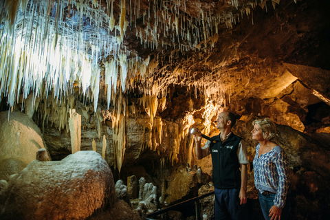 Lake Cave - Accommodation Mount Tamborine 1