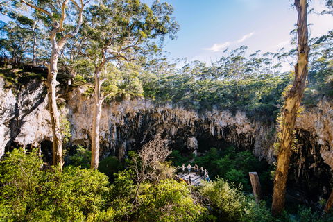 Lake Cave - Accommodation Mount Tamborine 2