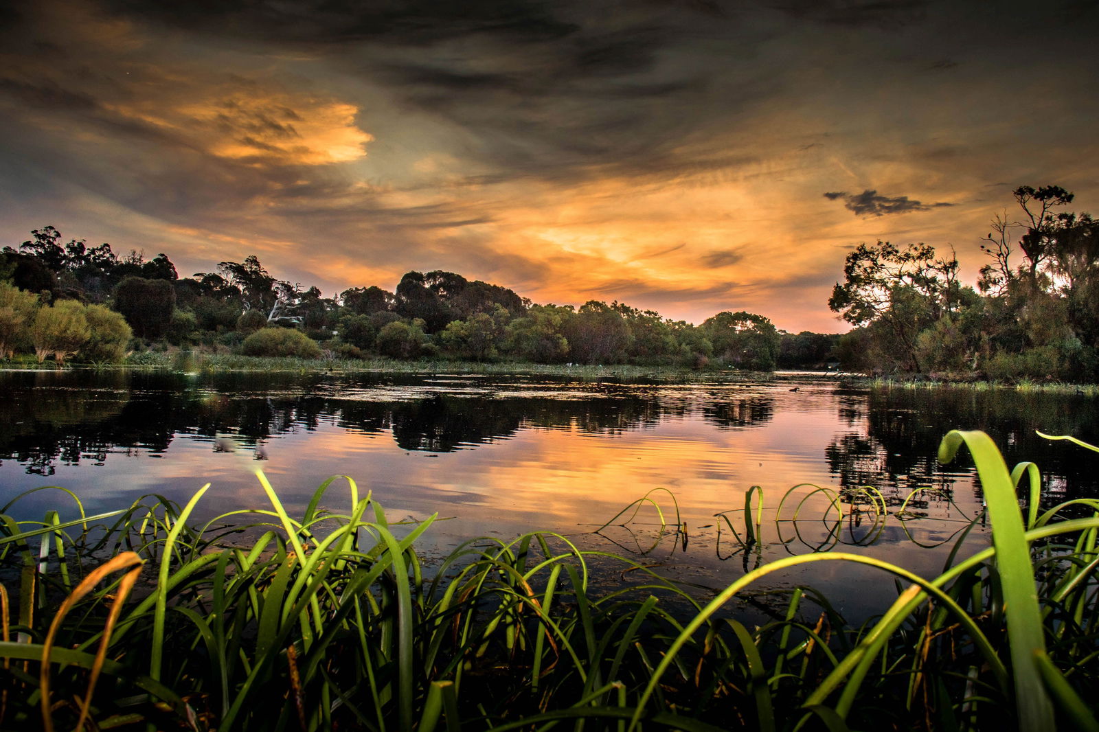  Accommodation Mount Tamborine