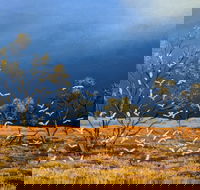 Lyn Barnes Gallery - Accommodation Mount Tamborine
