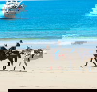 Mackay Harbour Beach - Accommodation Mount Tamborine