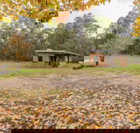Major Clews Hut Walking Track - Accommodation Mount Tamborine