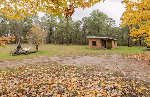 Major Clews Hut Walking Track - Accommodation Mount Tamborine 0
