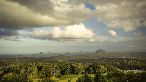 Mary Cairncross Scenic Reserve Rainforest Walk - Accommodation Mount Tamborine 0