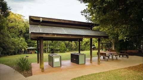 Mary Cairncross Scenic Reserve Rainforest Walk - Accommodation Mount Tamborine 2