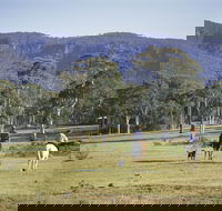 Megalong Valley - Accommodation Mount Tamborine