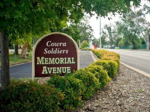 Memorial Avenue In Cowra - Accommodation Mount Tamborine 0