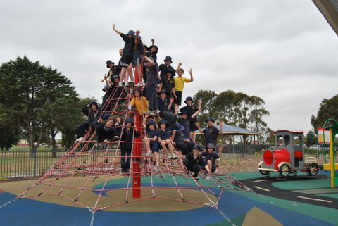 Millicent Mega Playground In The Domain - Accommodation Mount Tamborine 1