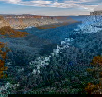 Missingham Lookout Track - Accommodation Mount Tamborine
