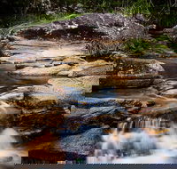 Mothar Mountain Rockpools - Accommodation Mount Tamborine