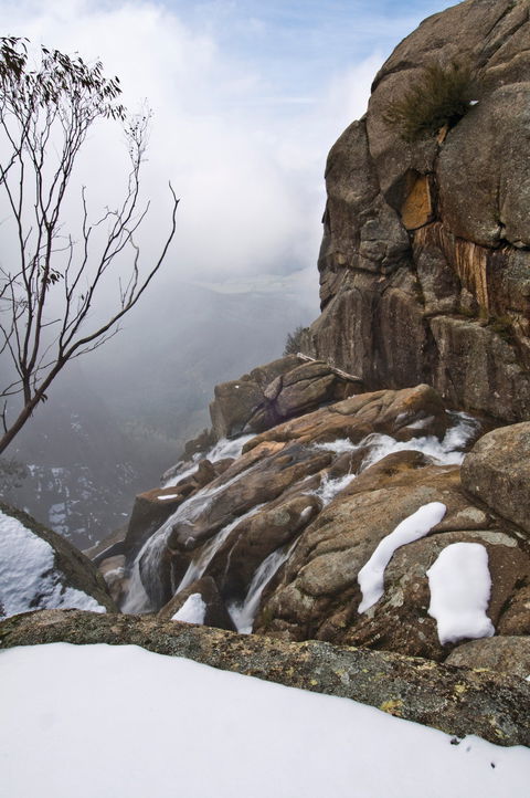 Mount Buffalo National Park - Accommodation Mount Tamborine 2