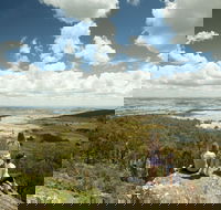 Mt Wombat Lookout - Accommodation Mount Tamborine