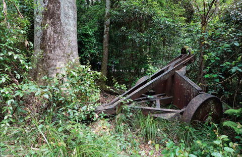 Norman Jolly Picnic Area - Accommodation Mount Tamborine 0