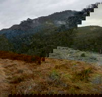 Nowendoc National Park - Accommodation Mount Tamborine