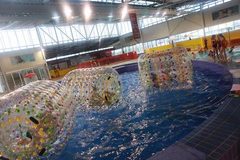 Oasis Regional Aquatic Centre - Accommodation Mount Tamborine 0