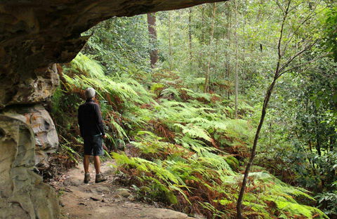 Old Great North Road Bike Ride - Accommodation Mount Tamborine 0