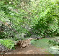 Pirianda Gardens - Accommodation Mount Tamborine