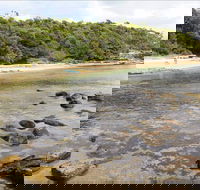Reef Beach - Accommodation Mount Tamborine