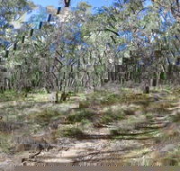 Reef Hills State Park - Accommodation Mount Tamborine