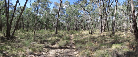 Reef Hills State Park - Accommodation Mount Tamborine 0
